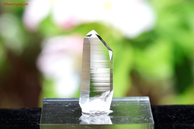 【SOLDOUT】プラズマクリスタル/プラズマクォーツ(A403)