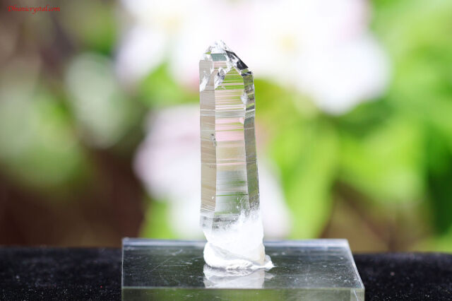 【SOLDOUT】プラズマクリスタル/プラズマクォーツ(A404)