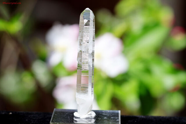 【SOLDOUT】プラズマクリスタル/プラズマクォーツ(A405)