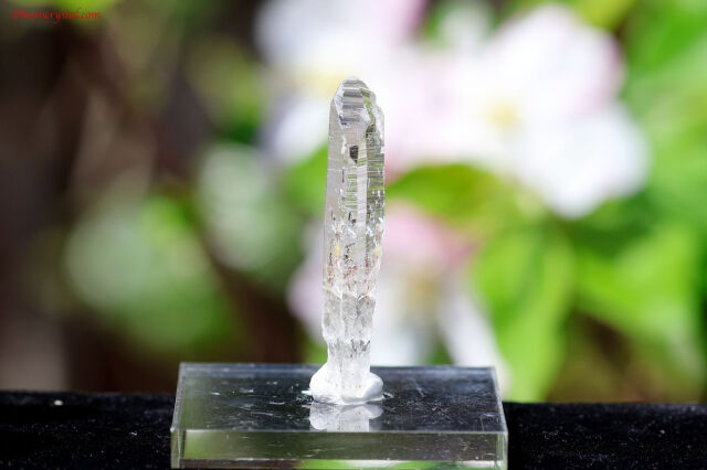 【SOLDOUT】プラズマクリスタル/プラズマクォーツ(A406)