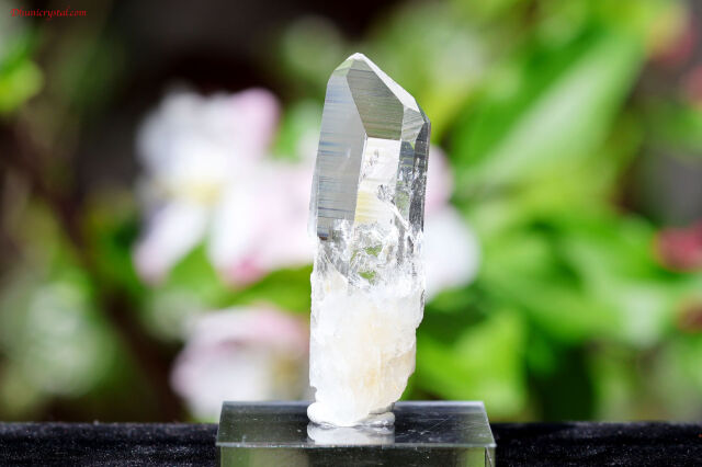 【SOLDOUT】プラズマクリスタル/プラズマクォーツ(A407)