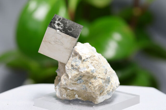 蛇石 パイライト/キューブ型天然結晶/スペイン産(A431)