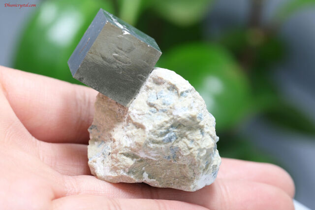 専用JH130★高級 アウイナイト0.2ct D0.48ct ヘッド 鑑付 jewel planet 公式サイト / 《DIAMOND MARKET》ホワイト