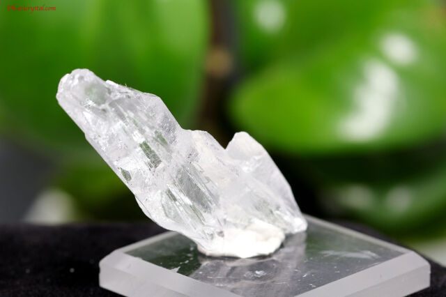 ピュアレイ レムリアンルーツ 原石 クリスタル 天然石 水晶 鉱物 一点物 レムリアンルーツクォーツ「ピュアレイ」 - 天然石