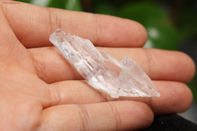ピュアレイ レムリアンルーツ 原石 クリスタル 天然石 水晶 鉱物 一点物 ピュアレイ レムリアンルーツ 原石 クリスタル 天然石 水晶 鉱物