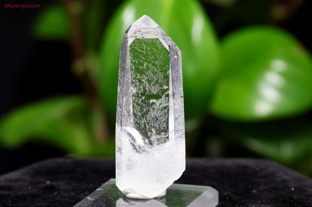 【トマスゴンサガクォーツ】12A 最高級✨　クラスター　抜群の透明度！！ トマスゴンサガクォーツ】12A 最高級✨ クラスター 抜群の透明度