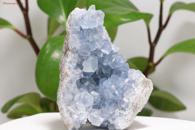 原石セレスタイト セレスタイト原石/天青石(A591)