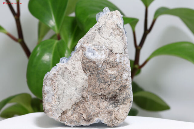 セレスタイト原石/天青石(A594)