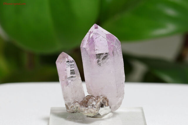 【SOLDOUT】ベラクルスアメジスト/原石(A607)