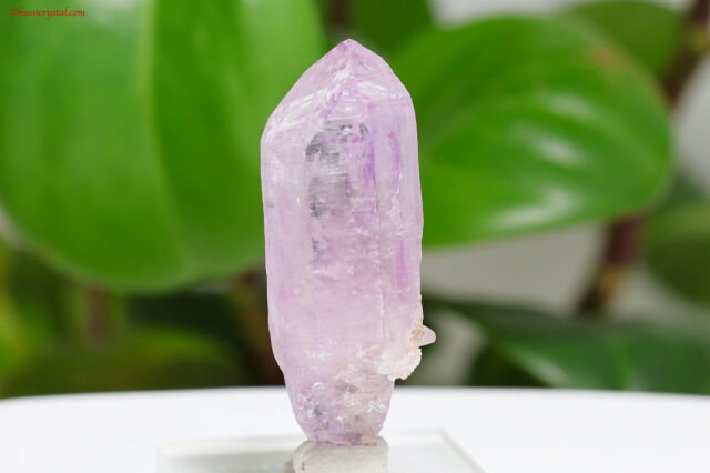 ベラクルスアメジスト/原石(A608)