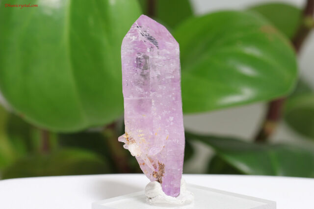 【世界一美しいアメジスト】ベラクルスアメジスト100 世界一美しい」といわれているベラクルスアメジスト、その魅力を