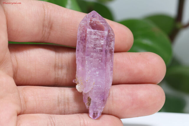 ベラ クルス アメジスト ベラクルスアメジスト/原石(A607)