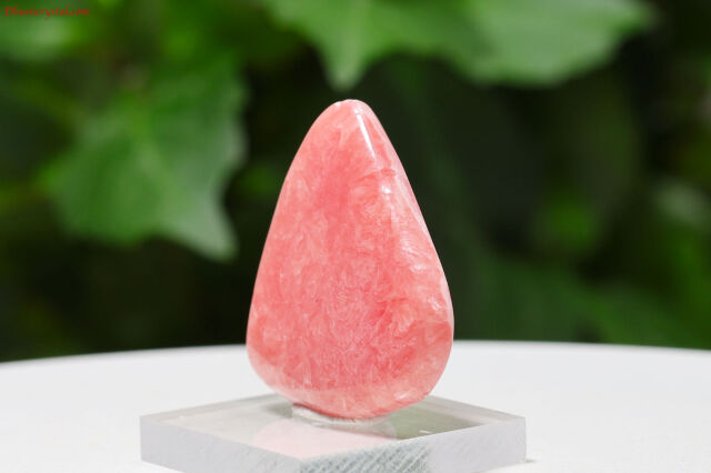 インカローズ(A613)