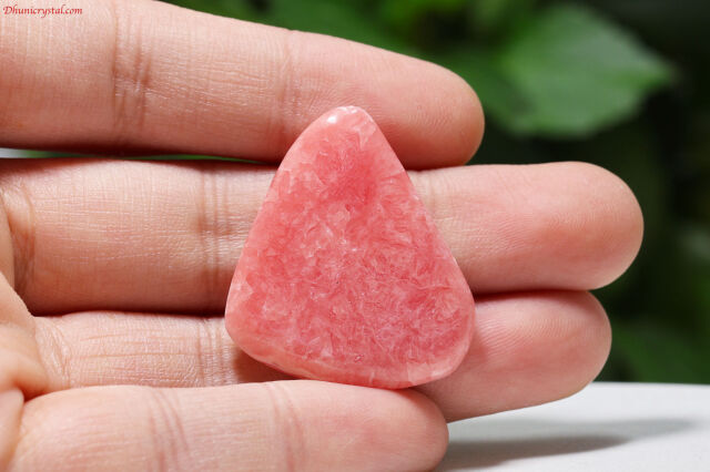 インカローズ(A613)