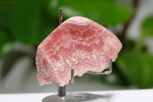 インカローズ鳥さんです。くちばしはオニキスですNO25-1108 インカローズ鳥さんです。くちばしはオニキスですNO25-1108