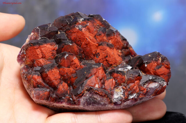 エイリアン・アメジスト(A645)