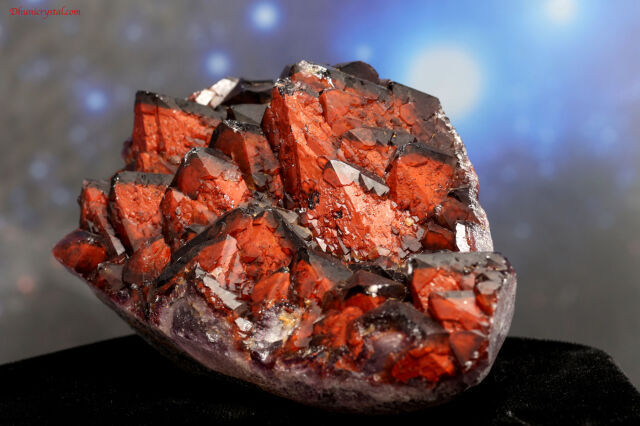 エイリアン・アメジスト(A645)