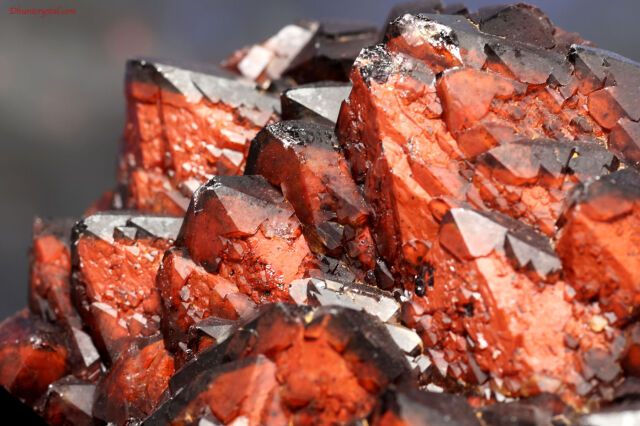 エイリアン・アメジスト(A645)