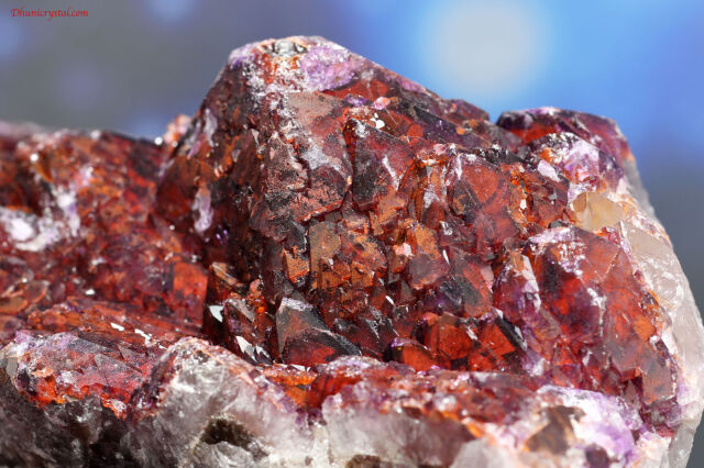 エイリアン・アメジスト(A646)