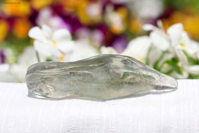 a656-2.jpg?t=20250523140055