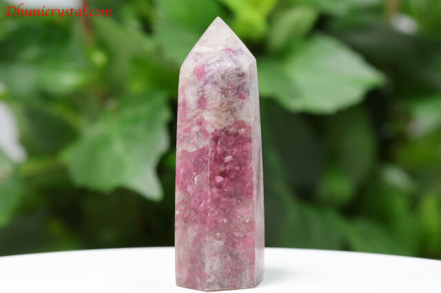 a664-2.jpg?t=20250524133447