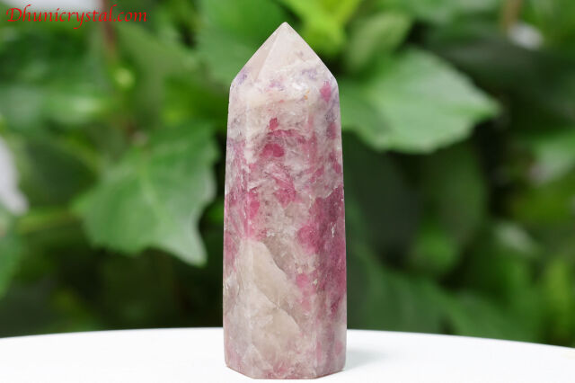 a664-3.jpg?t=20250524133449