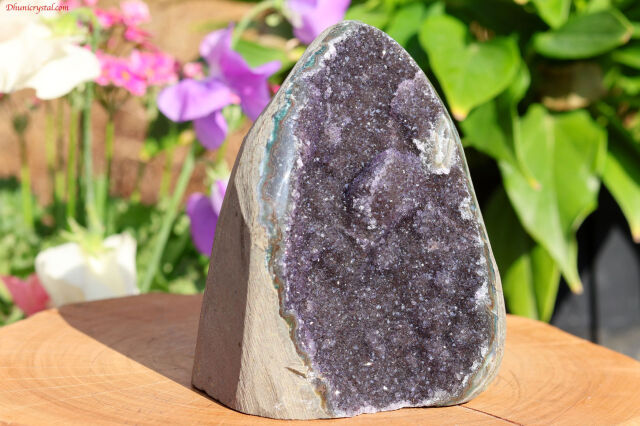 アメジストクラスター アメジストクラスター パイライトオンアメジストクラスター - 吉祥寺の