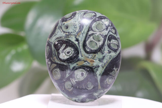 【SOLDOUT】KAMBABA/カンババジャスパー(A754)