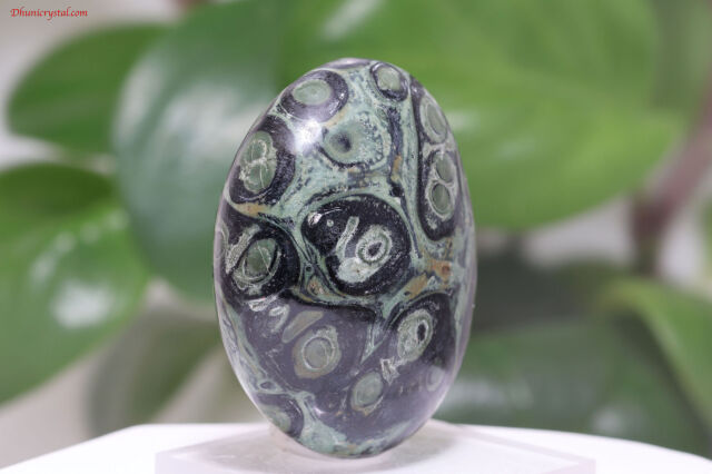 KAMBABA/カンババジャスパー(A754)