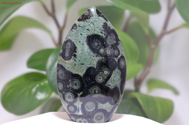 あつです！超レア！ カンババジャスパースフィア 約61ミリ あつです