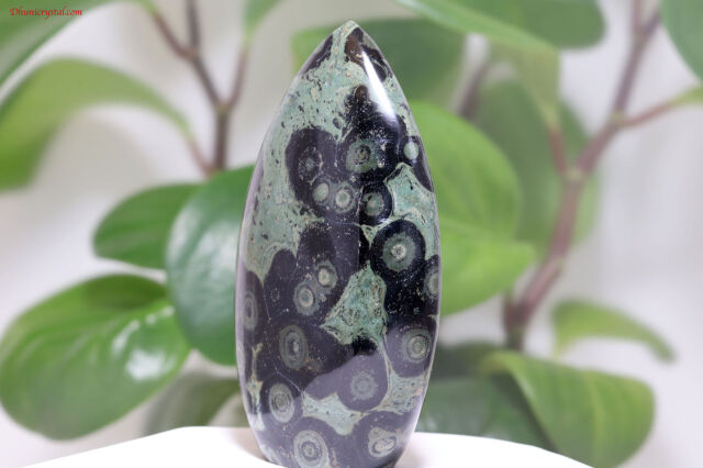 KAMBABA/カンババジャスパー(A757)