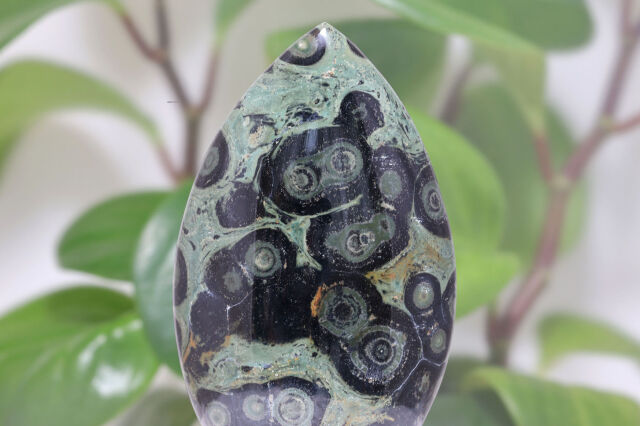 KAMBABA/カンババジャスパー(A757)