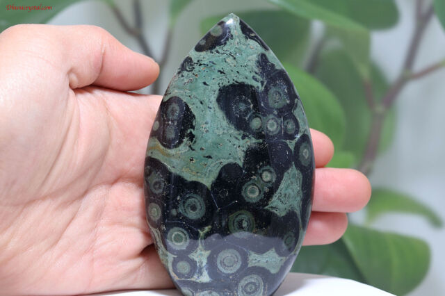 KAMBABA/カンババジャスパー(A757)