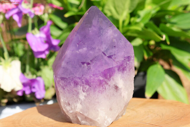 アナヒ・アメジスト(A78)