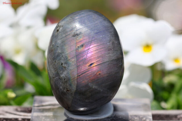 パープルシラー・ホワイトラブラドライト(A781)