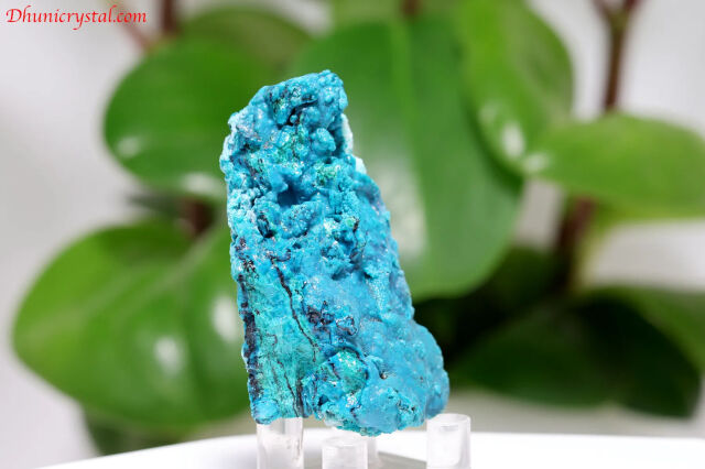 石原‼️ a791-2.jpg?t=20250607143914