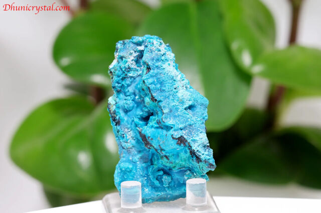 a791-3.jpg?t=20250607143925