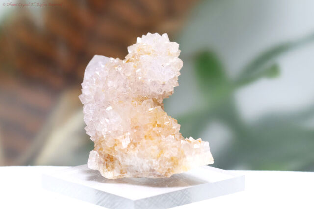 ホワイト・スピリットクォーツ/カクタスクォーツ(A874)