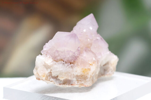 アメジスト・スピリットクォーツ／カクタスクォーツA875)