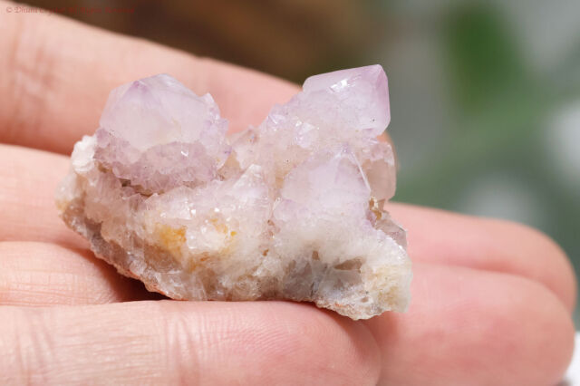 アメジスト・スピリットクォーツ／カクタスクォーツA875)