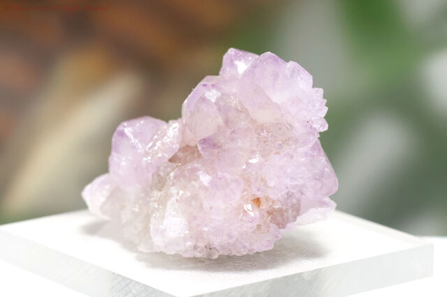 ピンクアメジスト　カクタスクォーツ　原石 ②原石 クラスター カクタスアメジスト カクタス水晶 カクタス