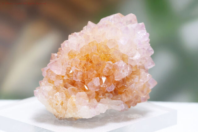 アメジスト・スピリットクォーツ／カクタスクォーツA877)