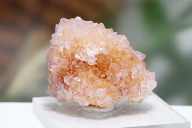 アメジスト・スピリットクォーツ／カクタスクォーツA877)