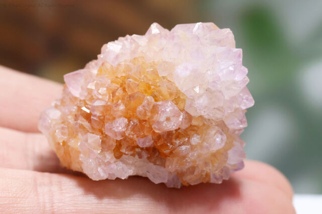 アメジスト・スピリットクォーツ／カクタスクォーツA877)