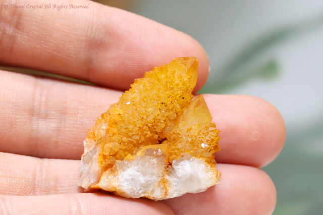 ゴールデンヒーラー・スピリットクォーツ/カクタスクォーツ(A879)