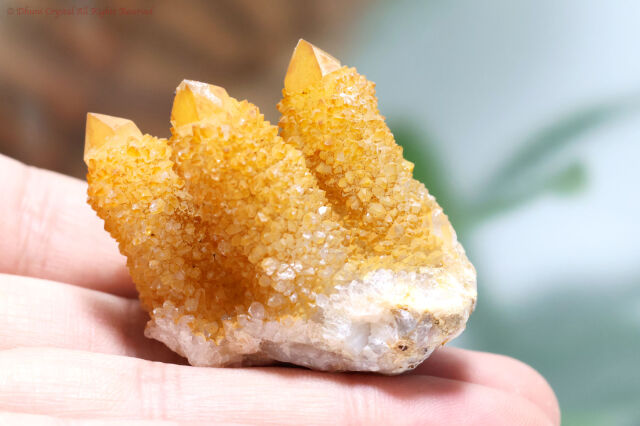 ゴールデンヒーラー・スピリットクォーツ/カクタスクォーツ(A881)