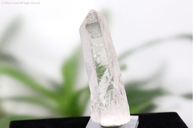 ヴィジョンクォーツ/ゼッカ水晶/シングルポイント(A887)