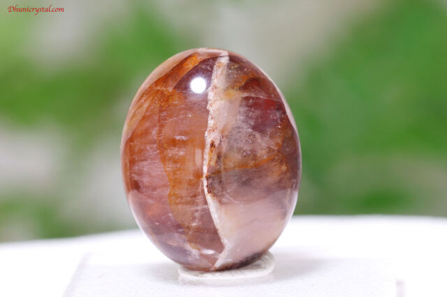 オーラスターライト