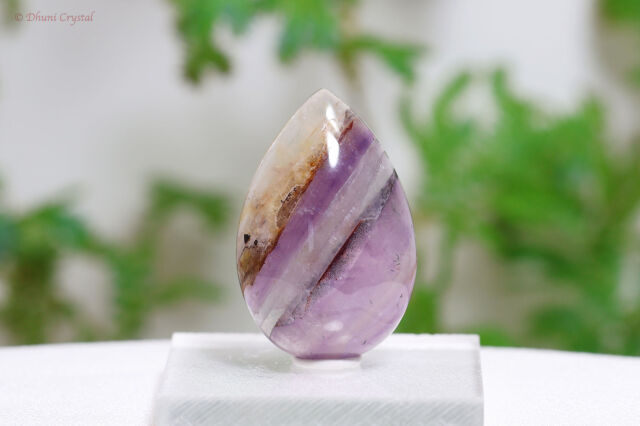 オーラスターライト