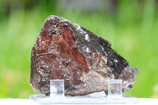 オーラスターライト